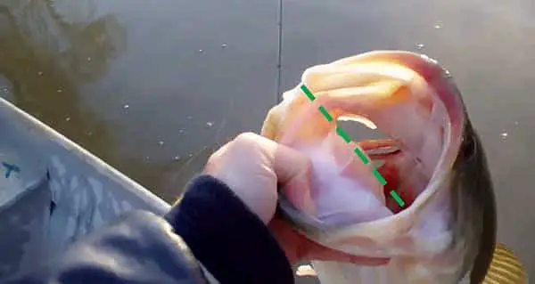 how to fish without a hook using wood bass mouth size