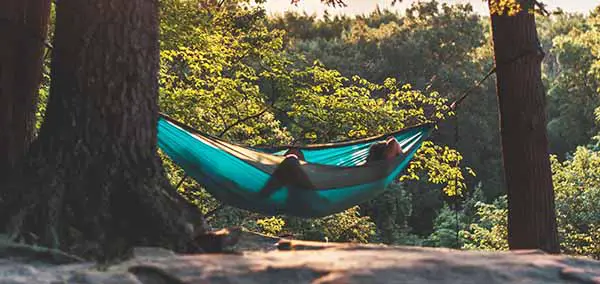 jungle hammock relax