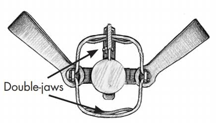 double long spring foothold trap