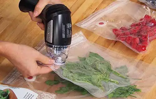 Vacuum sealer for herbs and spices