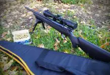 hunting with a .22 rifle tips and tricks