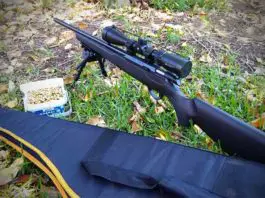 hunting with a .22 rifle tips and tricks