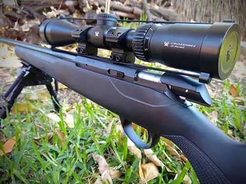 Hunting with a 22 vortex optics rifle scope tikka