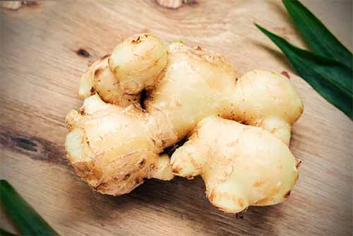 how to make homemade ginger beer using fresh ginger