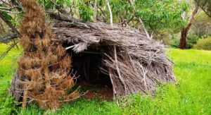 How to make a camouflaged natural ground hunting blind in the bush ...