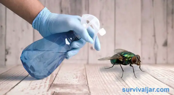 how to keep flies out of your house in summer