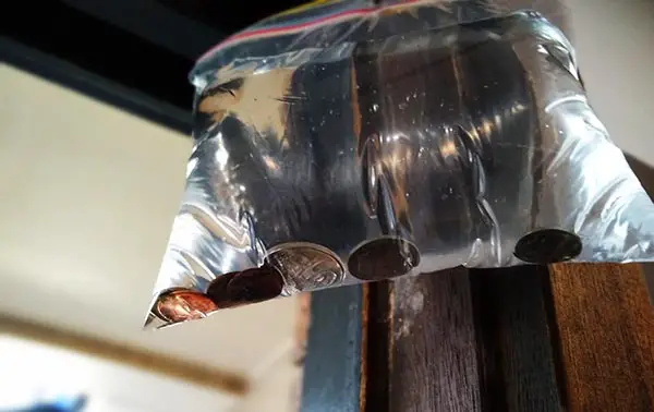 How to keep flies out of your home in summer hack coins in a plastic bag filled with water.