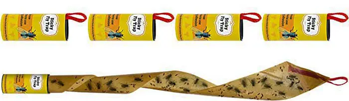 Sticky fly trap baits will help how to keep flies from coming in the door 